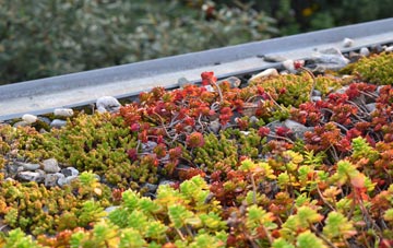 the cost of Cliuthar green roof installation
